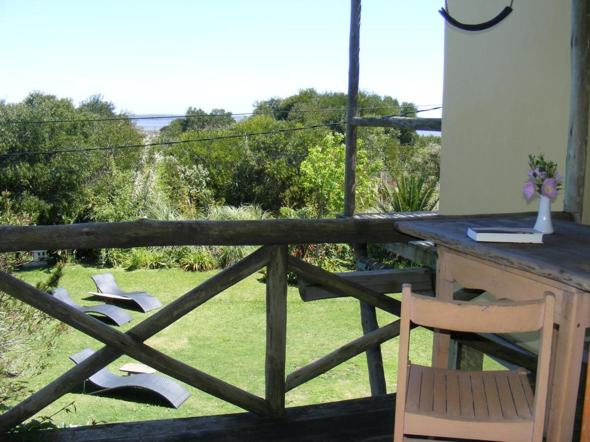 Hale Lau José Ignacio Quarto foto